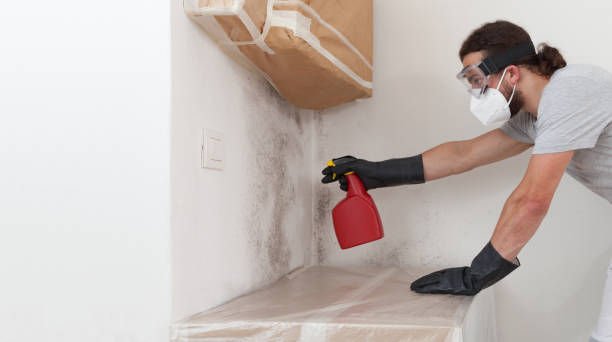 Professional Crawl Space Mold Removal technician working in Aquasco, MD